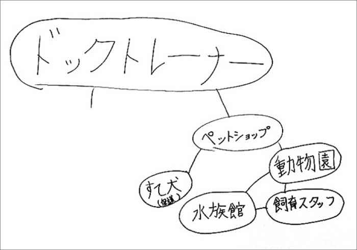 2017年 キャリア教育-ドックトレーナー